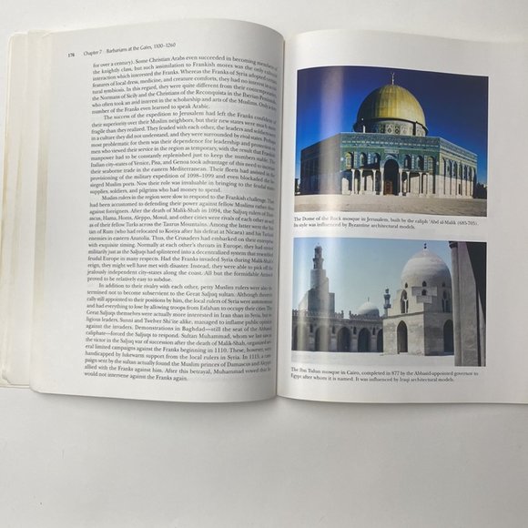 The History of the Muslim World to 1405 by Vernon O. Egger - Picture 10 of 16